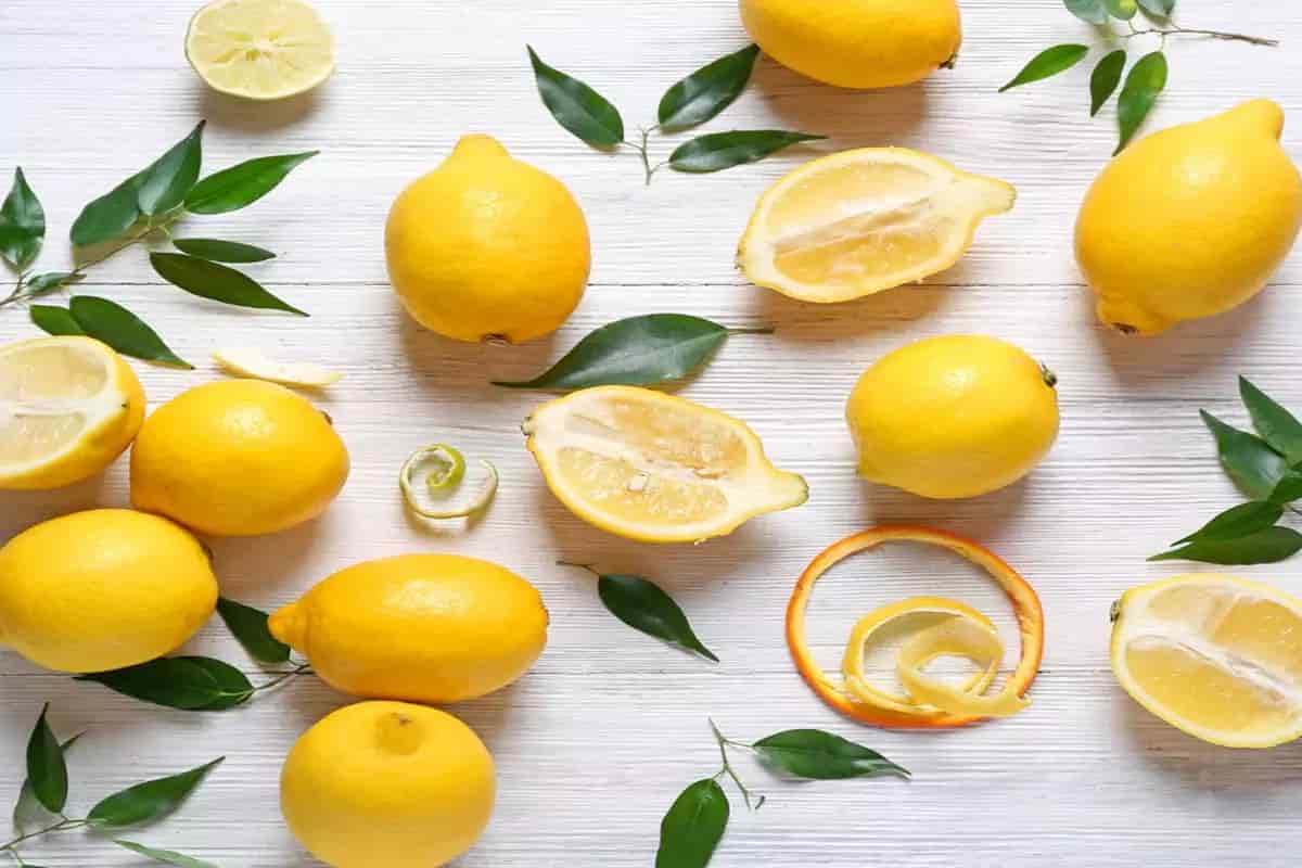 لیمو ترش جنوب عطر طبیعت در هر قطره